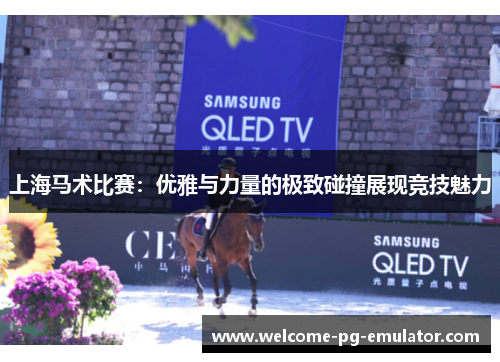 上海马术比赛:优雅与力量的极致碰撞展现竞技魅力 上海马术比赛:优雅与力量的极致碰撞展现竞技魅力