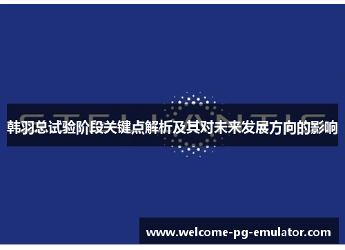 韩羽总试验阶段关键点解析及其对未来发展方向的影响