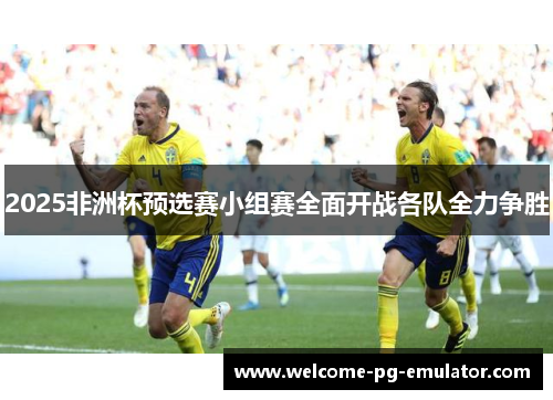 2025非洲杯预选赛小组赛全面开战各队全力争胜