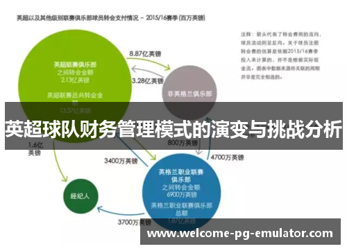 英超球队财务管理模式的演变与挑战分析 英超球队财务管理模式的演变与挑战分析