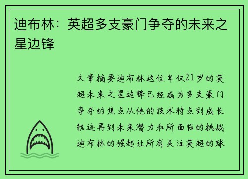 迪布林:英超多支豪门争夺的未来之星边锋 迪布林:英超多支豪门争夺的未来之星边锋