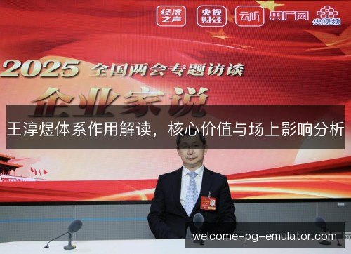 王淳煜体系作用解读，核心价值与场上影响分析